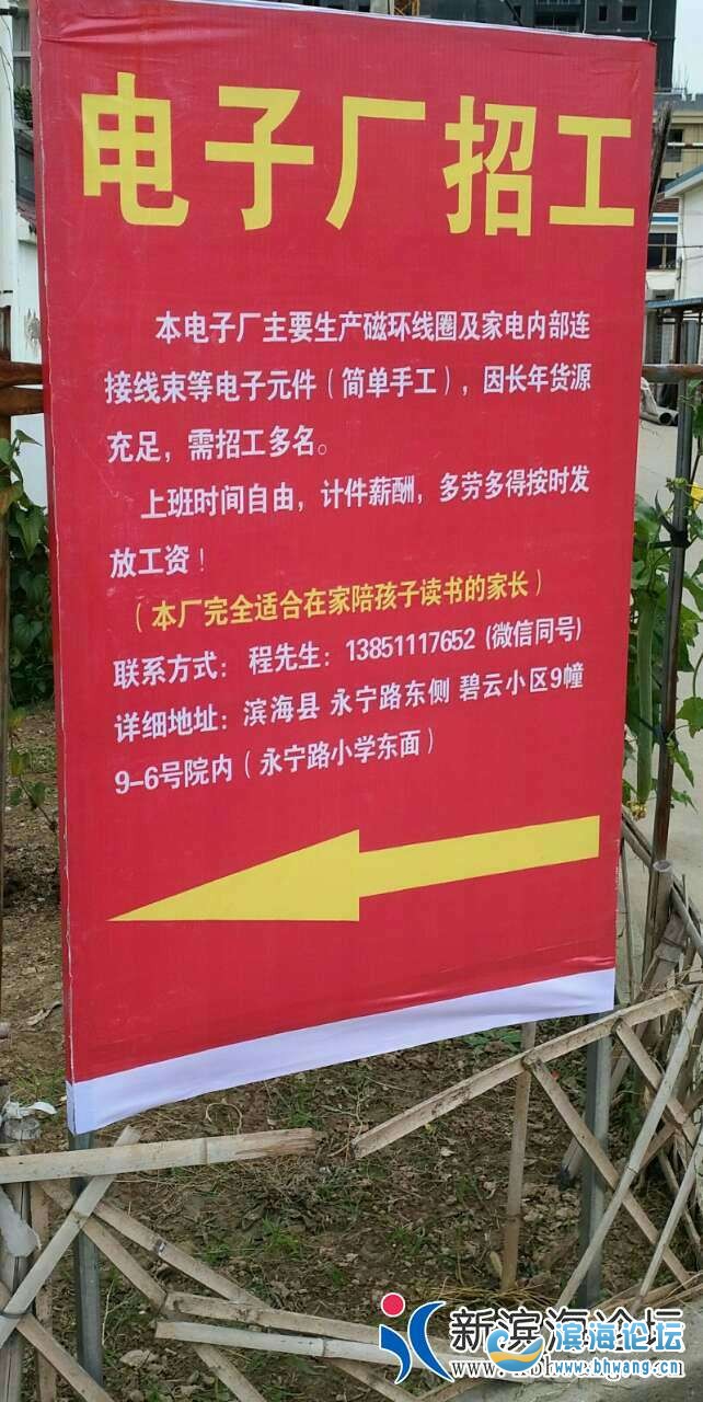 茌平最新工厂招聘，友情与工作的和谐交响，职位空缺等你来挑战