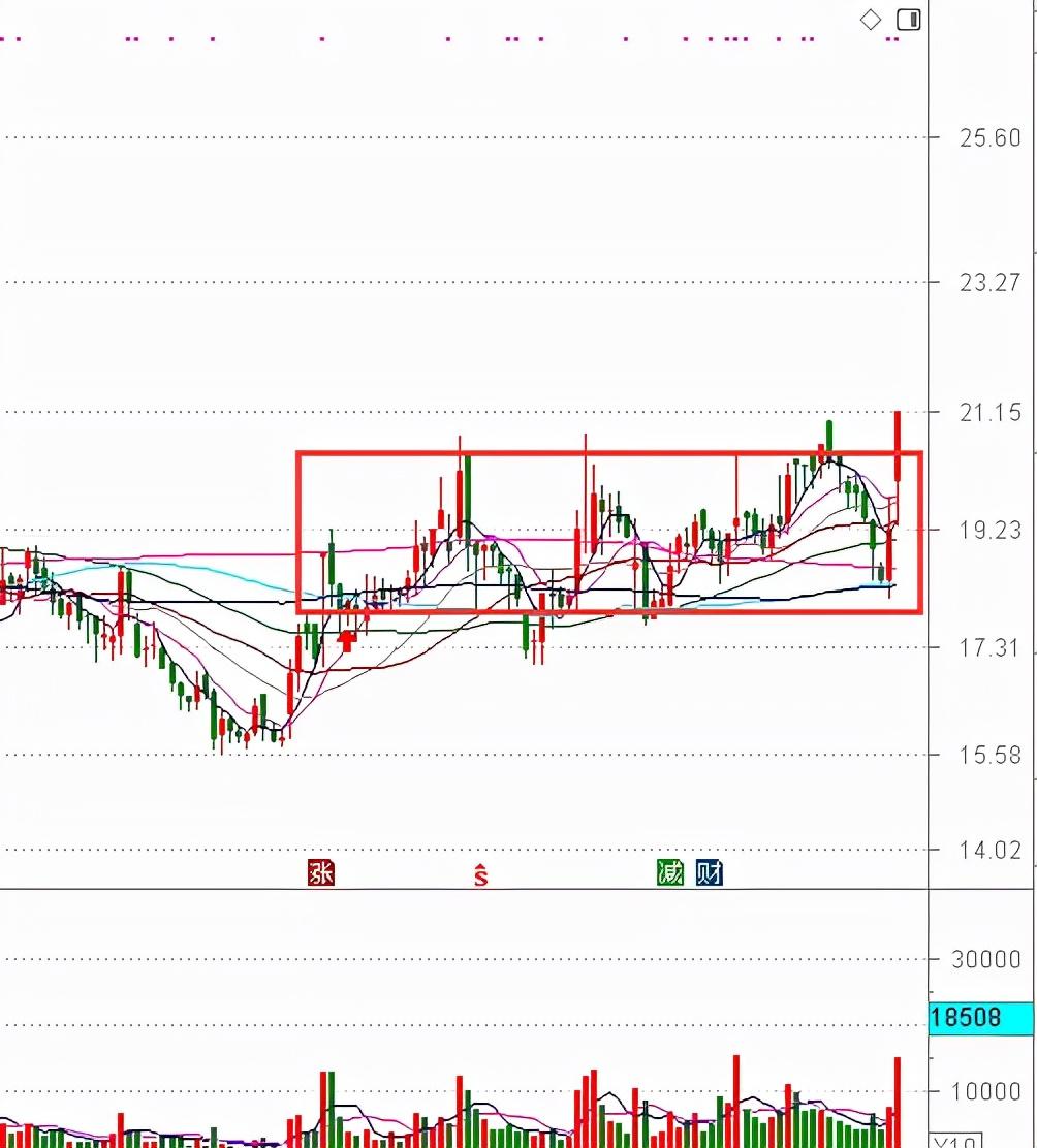 股市最新动态，乘风破浪，开启财富增长新篇章