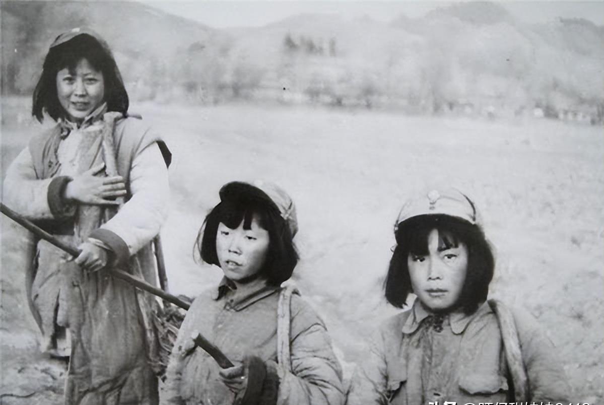 汽车饰品的销售 第471页