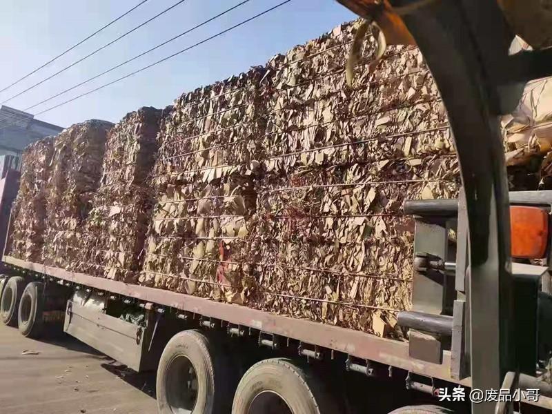 废纸最新动态，自然美景之旅的心灵探索之旅体验