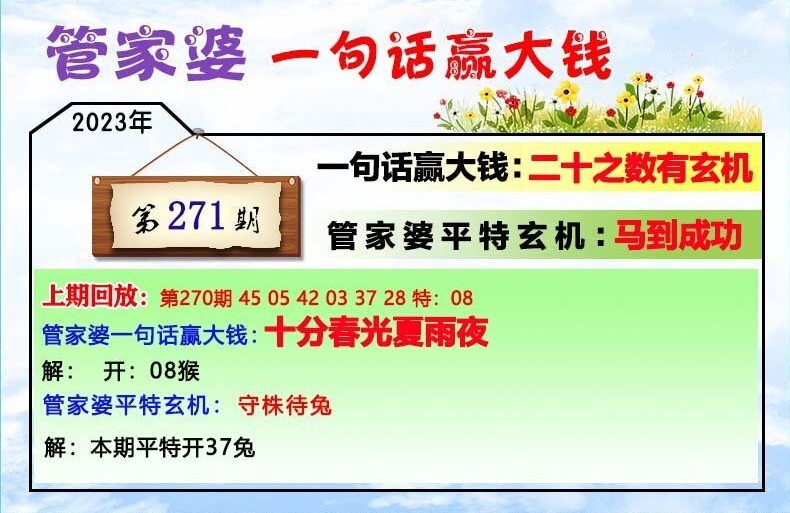 管家婆一肖一码,最新数据挖解释明_NET9.963触感版