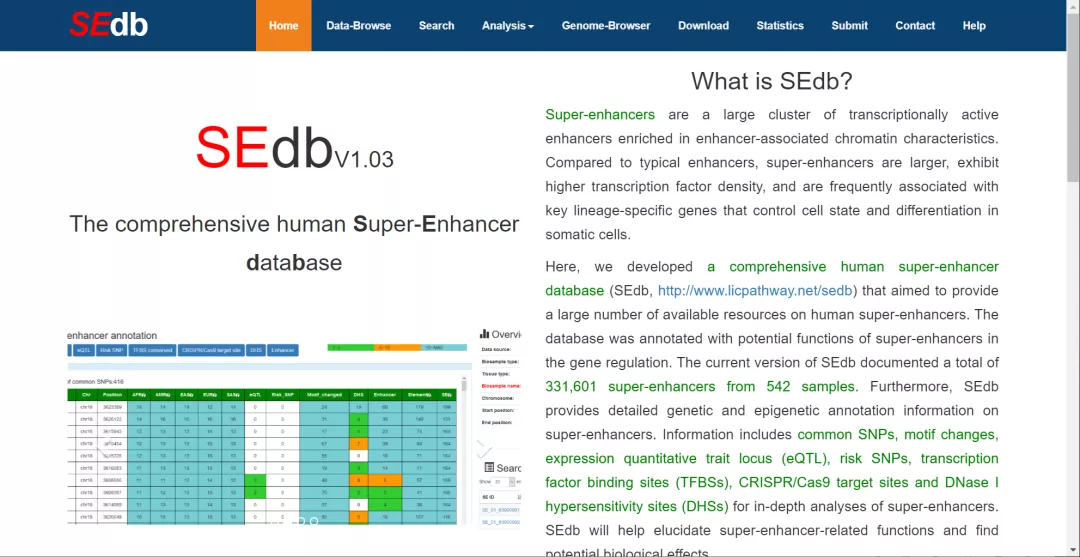 2024新澳历史开奖记录,数据导向程序解析_DCH83.608创意设计版