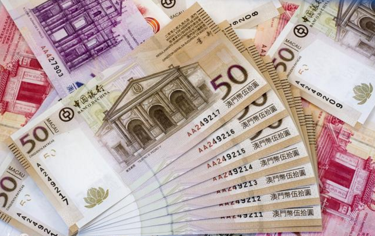 澳门平特一肖100中了多少倍,灵活性执行方案_VBF9.495套件版