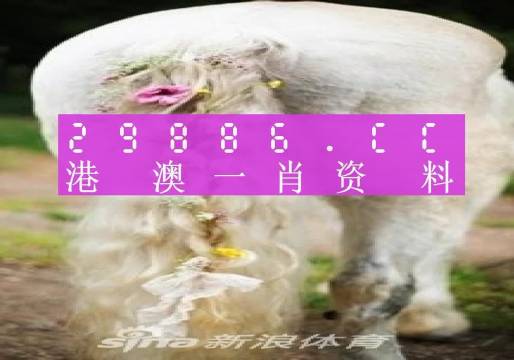 2024澳门必中一肖,数据解释说明规划_YUZ9.724远程版