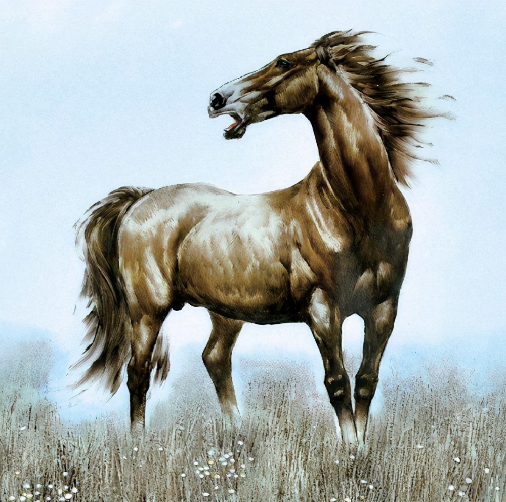 床下有特马是指什么生肖,深入探讨方案策略_URM83.912商务版