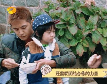 爸爸去哪儿最新嘉宾揭晓,星光背后的温情之旅