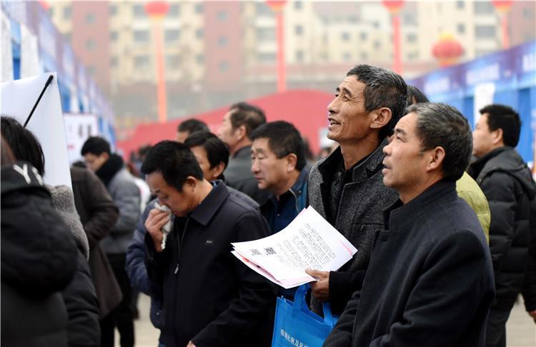 南和最新招聘信息，家的温馨故事与求职者的交汇点