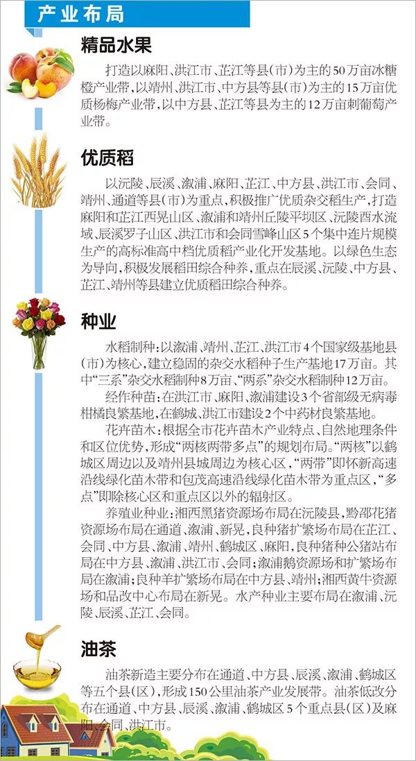 7777788888精准跑狗图特色,新技术推动方略_VVF58.561VR版