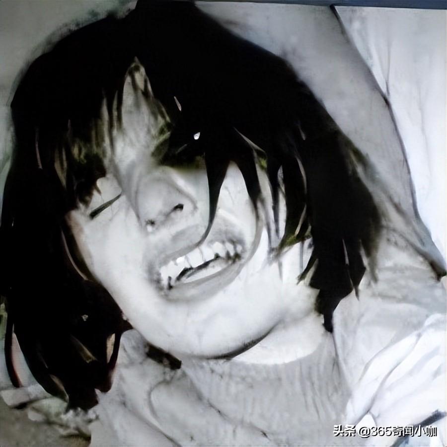 虚诚最新章节,时代背景下的深度探索之旅