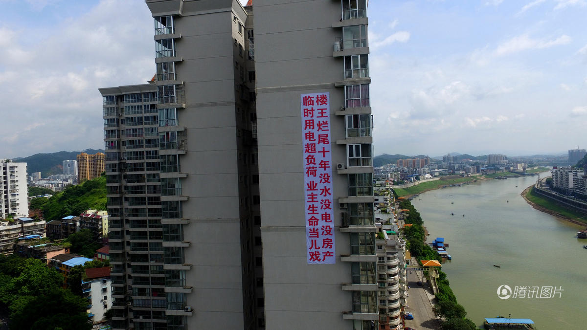 广西梧州红豆网最新动态,探寻梧州红豆文化的魅力与活力