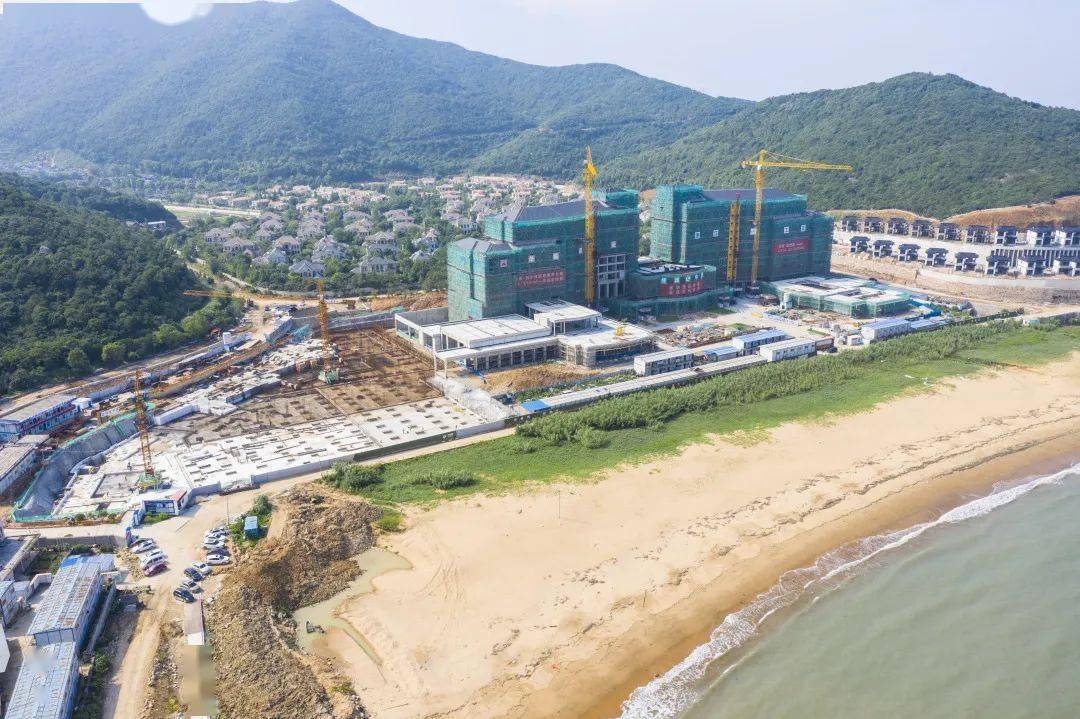 大目湾最新动态揭秘，温馨有趣的日常故事