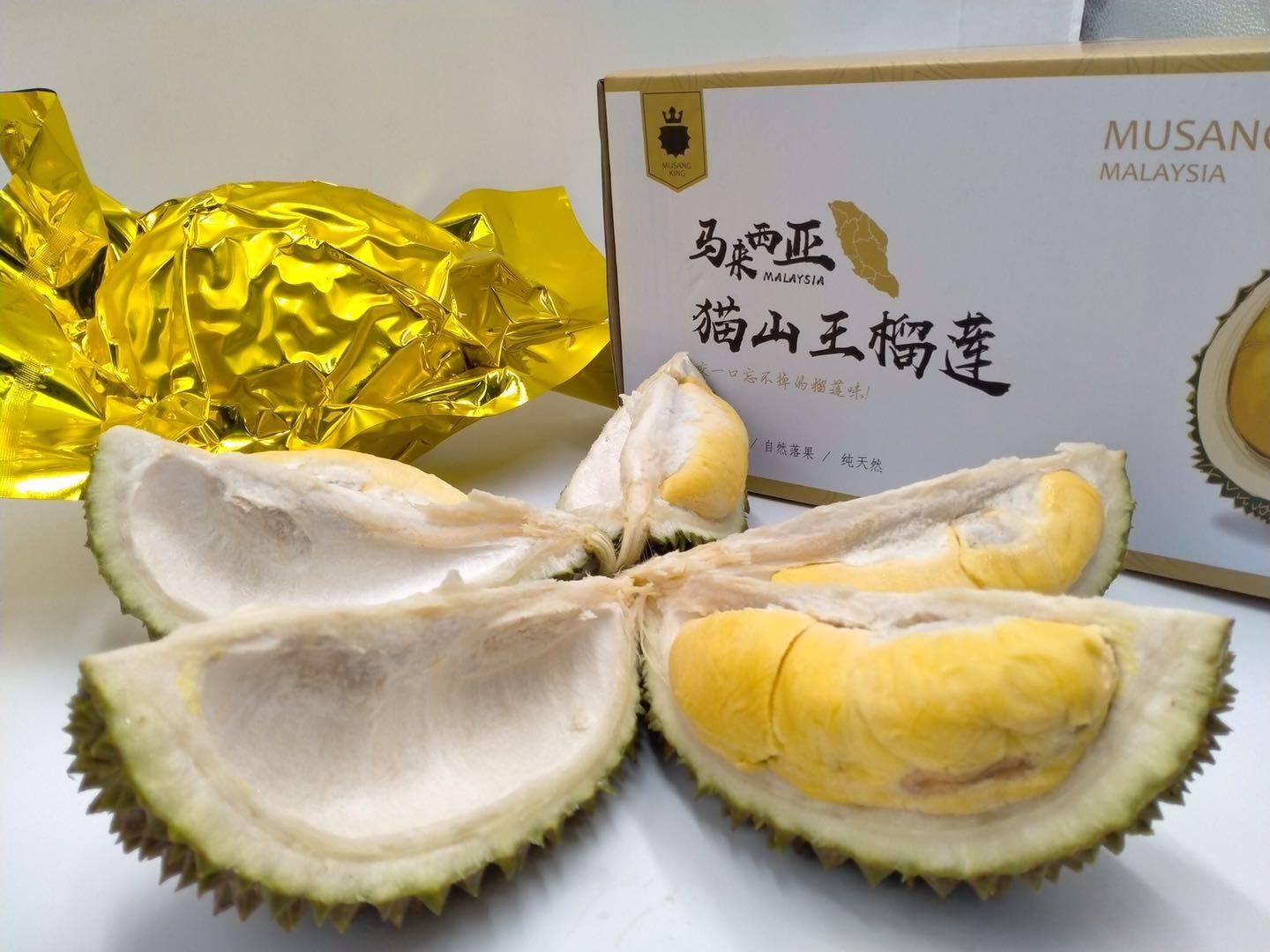 澳门精准资料水果奶奶,最新数据挖解释明_社交版68.696