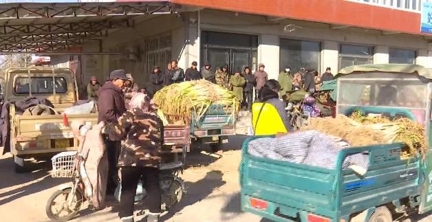 邳州与郯城事件最新进展及参与步骤指南