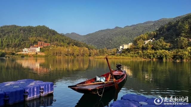 新化县白溪镇最新红网探析，观点阐述与深度探究