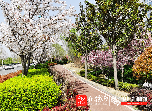 奥正诚园二期最新动态，全面指南与详细步骤解读