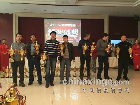 沈阳中天赛鸽俱乐部最新消息,沈阳中天赛鸽俱乐部最新消息，小巷中的隐藏宝藏