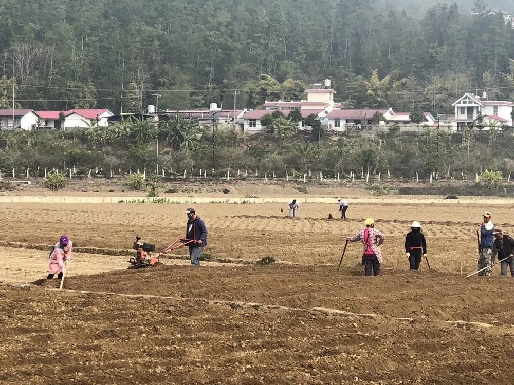 沧源最新疫情,现状与各方观点审视