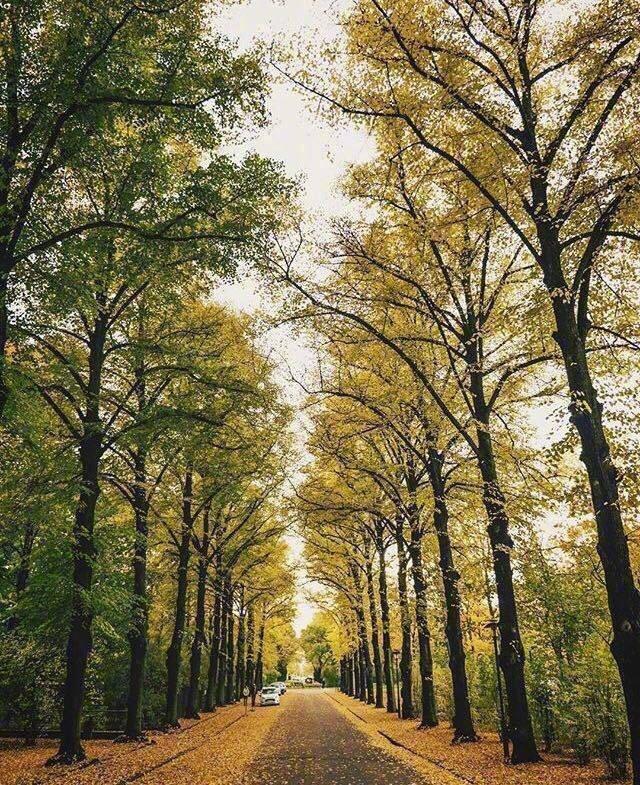 德国柏林最新状况深度解析，观点阐述与分析