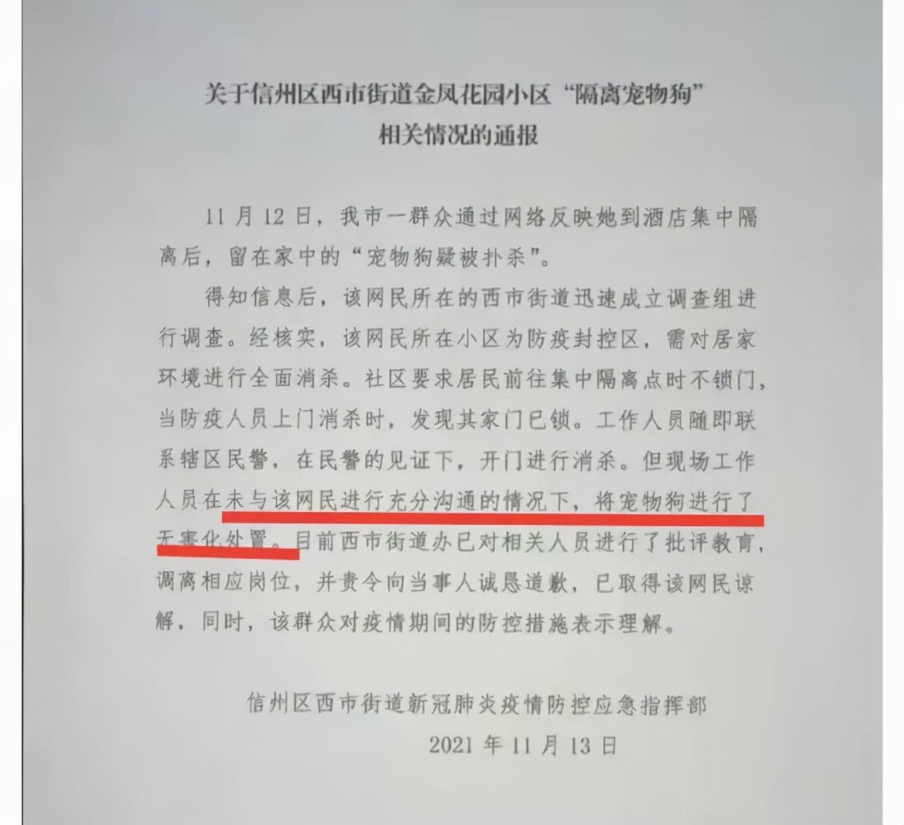 信州区最新事件,自然美景探索之旅启程!