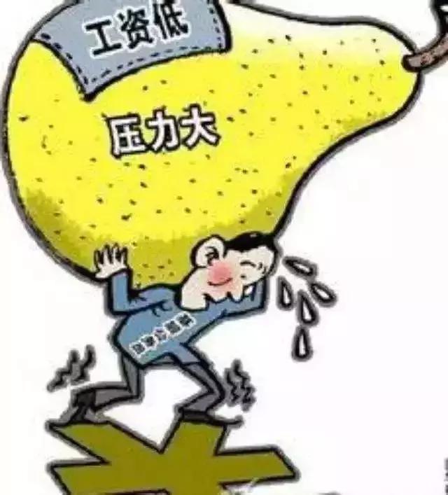 参公最新规定,时代变革的指引灯塔