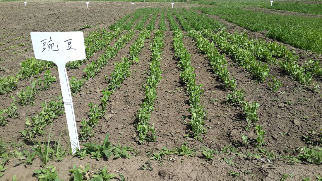 玛曲最新新闻,学习变革澎湃力量,自信成就梦想启航之旅