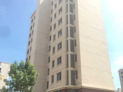 领雅苑最新,领雅苑最新,时代背景下的独特印记