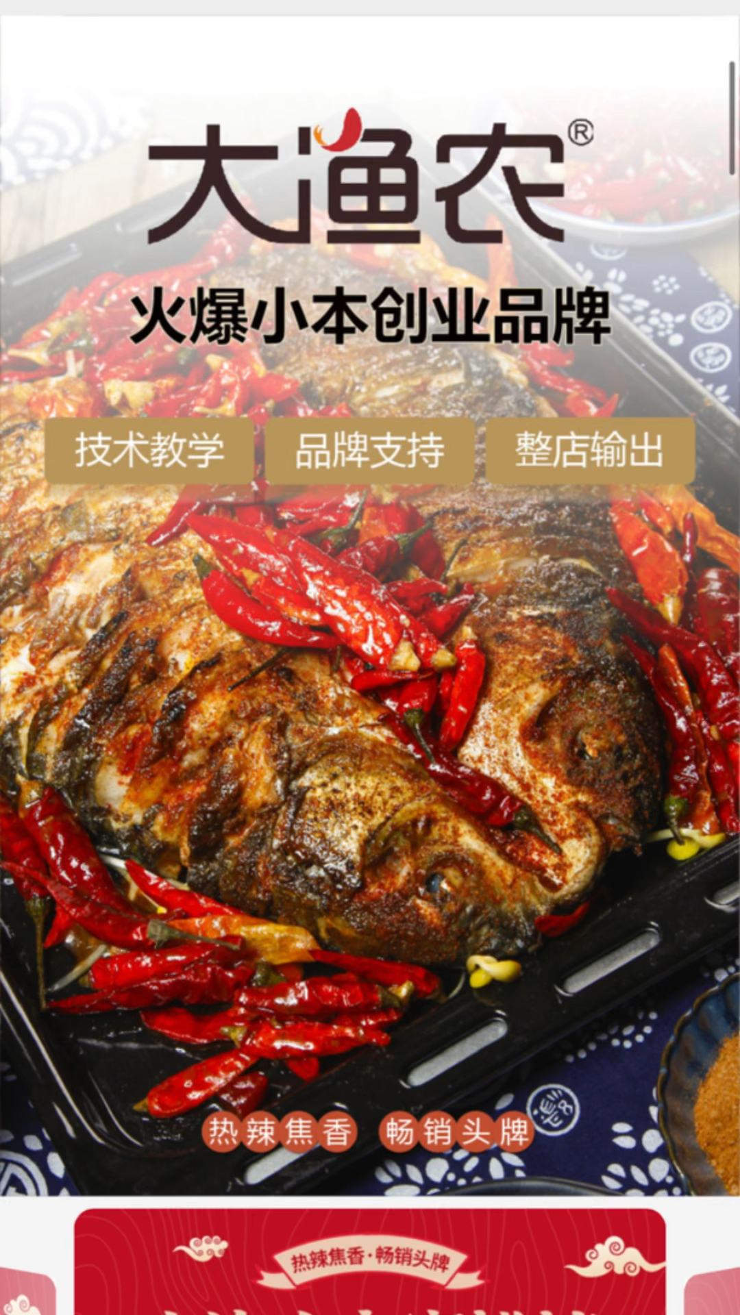 大渔农最新引领现代农业科技发展的先锋风潮