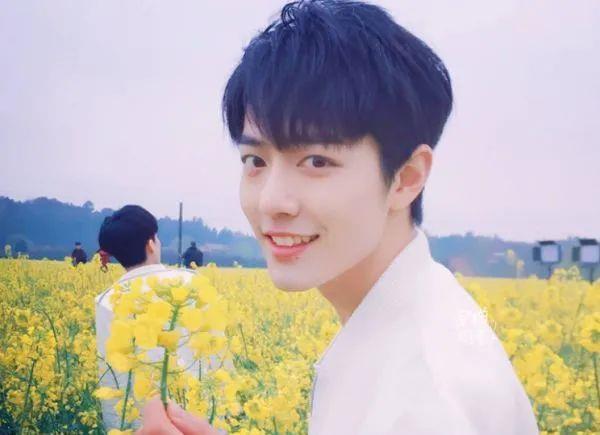 肖战最新照片揭秘,探索明星魅力的瞬间