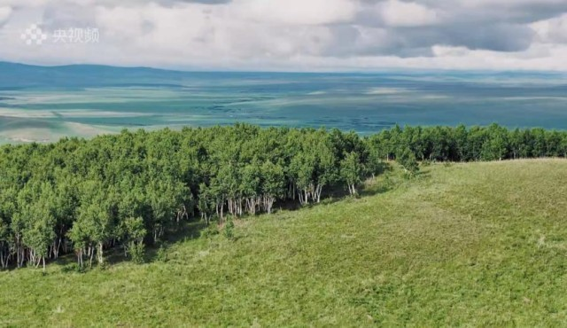 探索绿色生态奥秘，最新草地地址揭秘