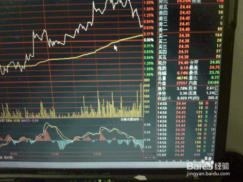 创业板股票行情详解,投资步骤指南与操作策略