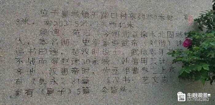 齐园资讯的中文改写版报道