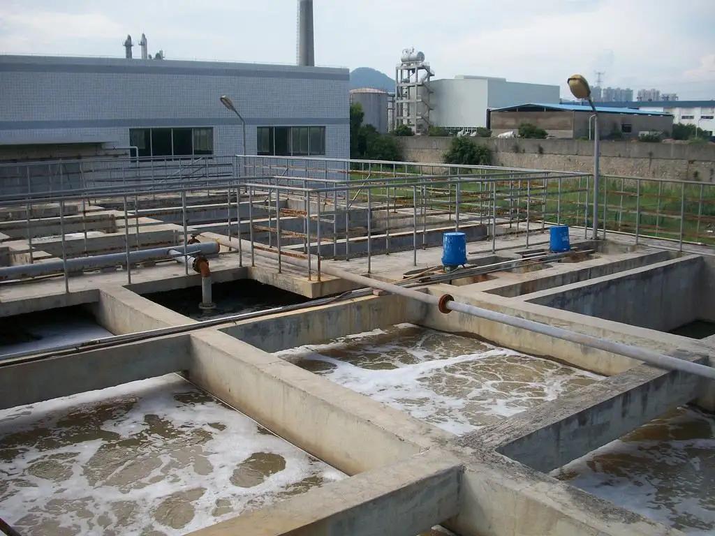 猪粪处理技术的转变,从恶臭到价值,开启励志之旅