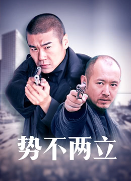 势不两立电视剧演员阵容全解析