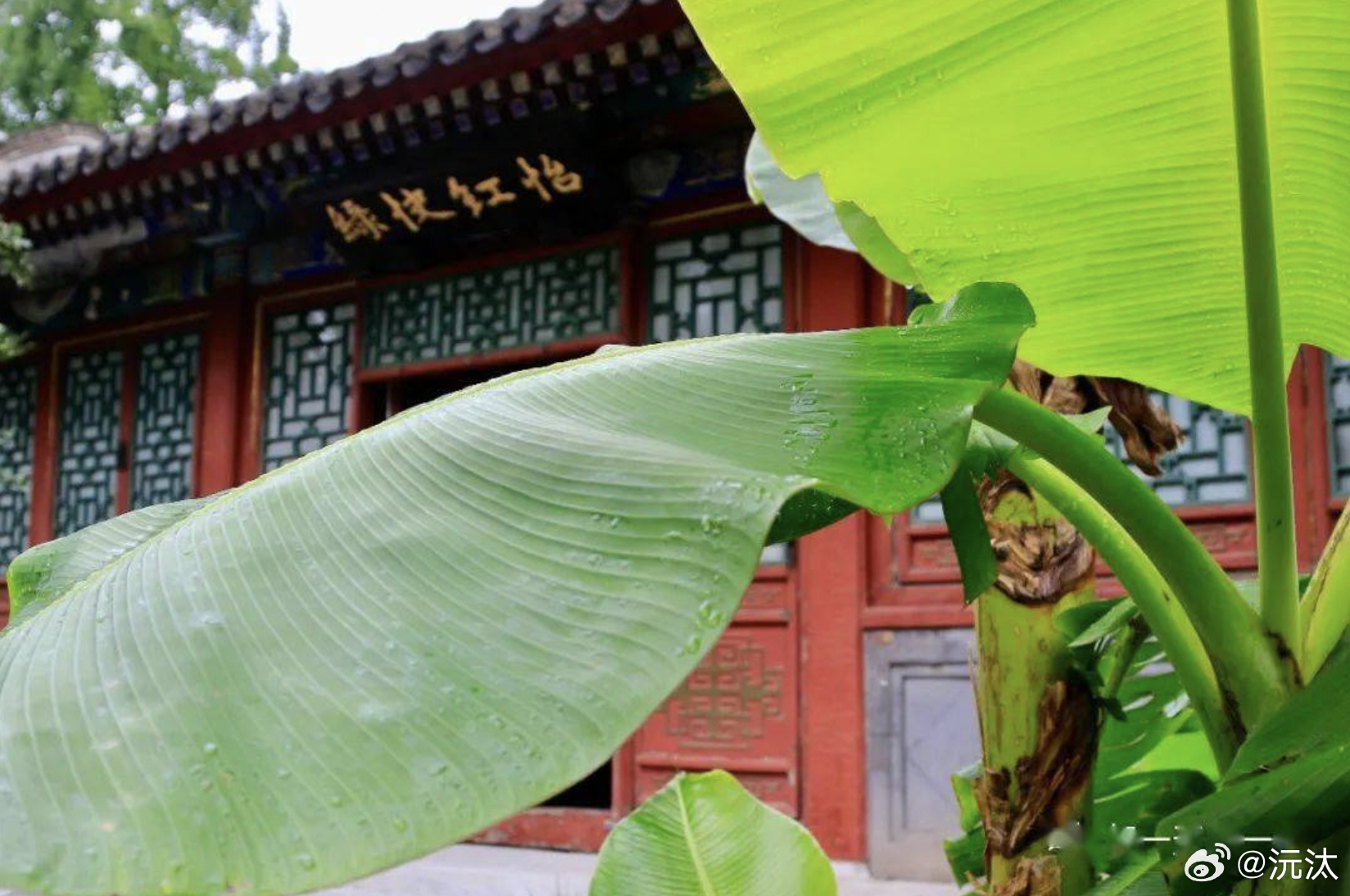 怡红院主页更新，最新动态一览无余