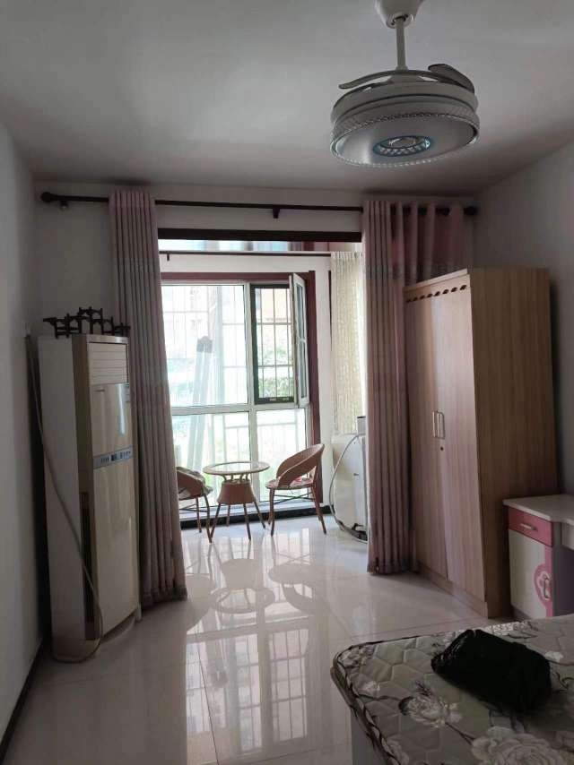 正阳租房最新动态揭秘,巷弄深处的独特小店