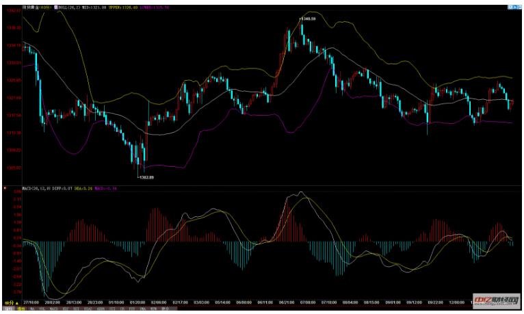 实物黄金价格走势图解析，小巷黄金宝藏探秘之旅