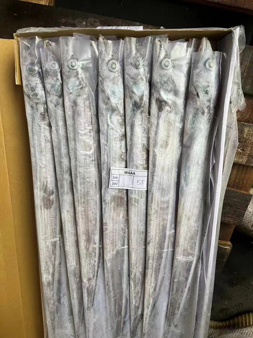 带鱼价格实时动态及市场走势分析与预测