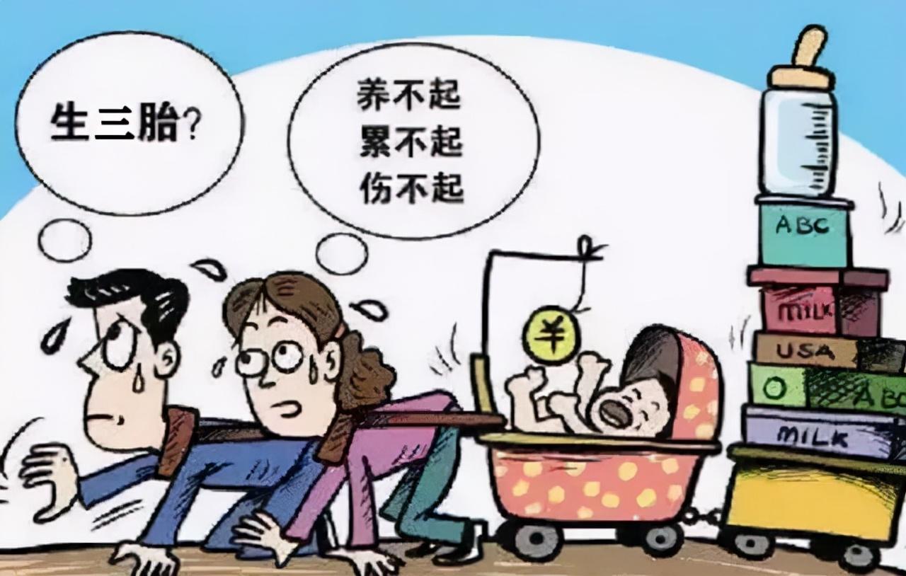 二胎政策最新动态解析与探讨