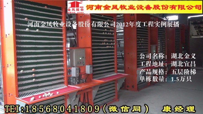 科技重塑畜牧业，最新养殖设备引领未来养殖之旅