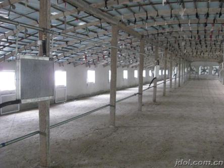 科技重塑畜牧业,最新养殖设备引领未来养殖之旅