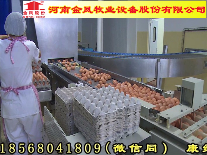 科技重塑畜牧业,最新养殖设备引领未来养殖之旅