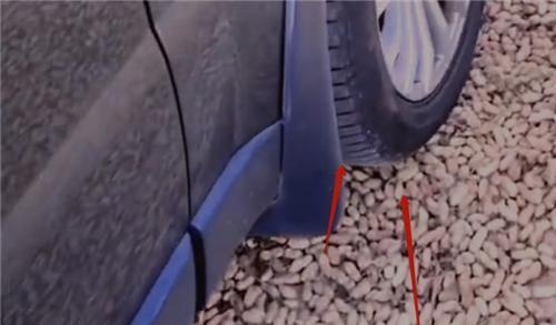 河南花生价格最新动态更新