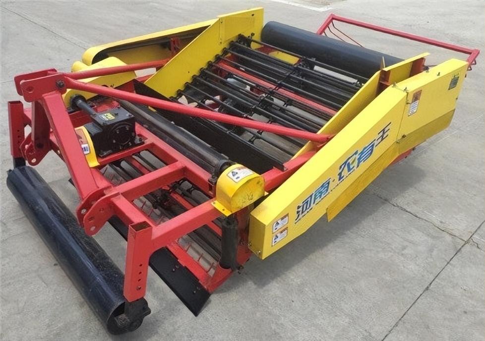 河南花生价格最新动态更新