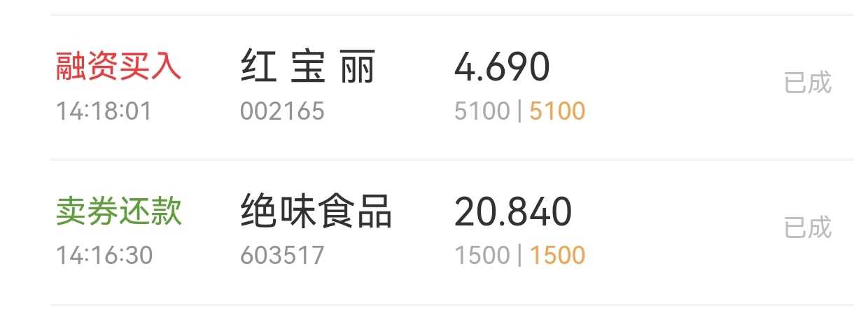 红宝丽股吧最新消息揭秘，小巷中的特色小店探索之旅