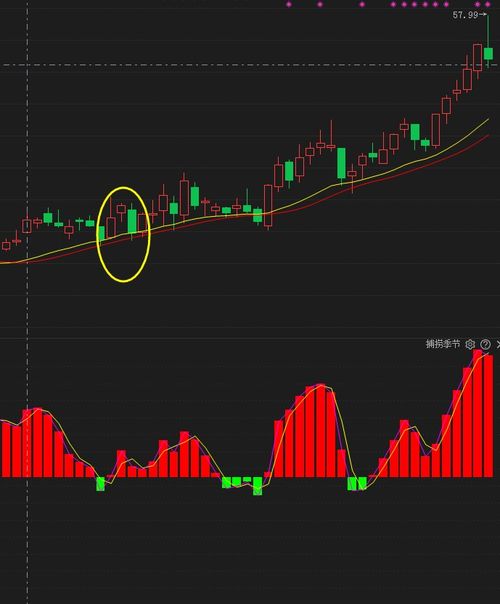 股票主力进出观察指南,如何洞悉主力动向?