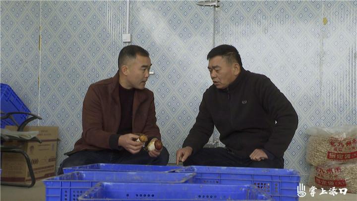 『神奇蘑菇世界开启,带你领略菇上市的魅力!』