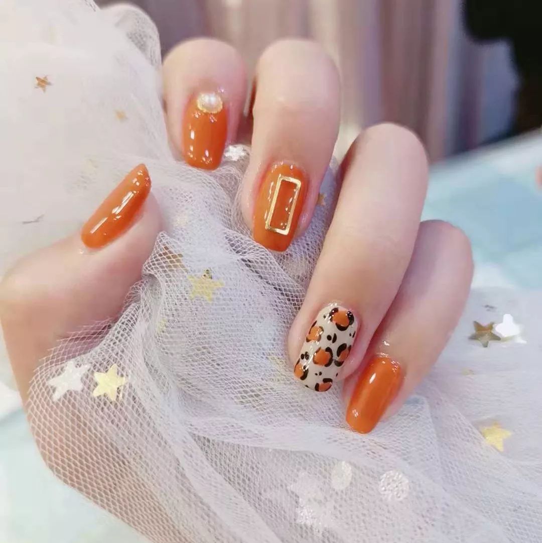 小红书美甲图片更新,时代风尚的微观变迁展现美甲时尚风采