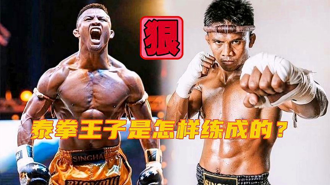 泰拳电影,热血荣耀的热血交融之旅