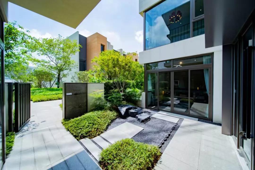 最新大旺,友情、欢笑与家的温馨日常