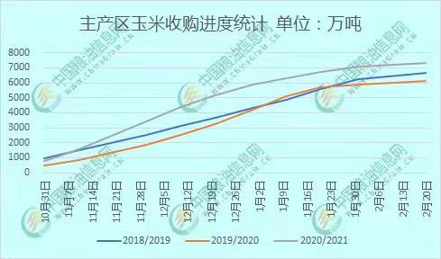 科技引领未来,掌握玉米最新价格行情预测,洞悉市场走势